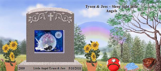 Little Angel Tyson & Jess's Rainbow Bridge Pet Loss Memorial Residency Image