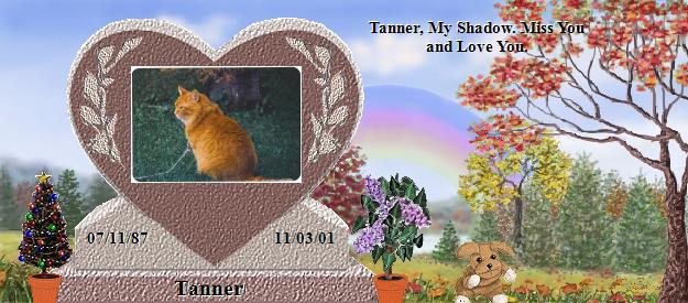 Tanner's Rainbow Bridge Pet Loss Memorial Residency Image