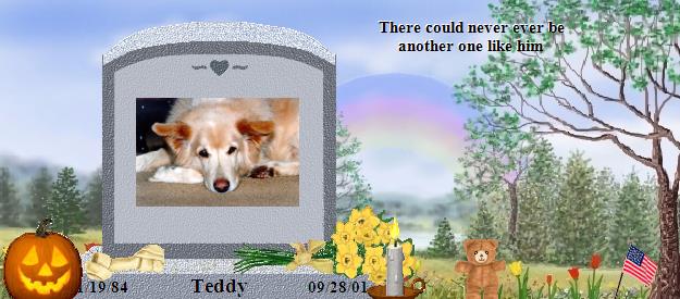 Teddy's Rainbow Bridge Pet Loss Memorial Residency Image