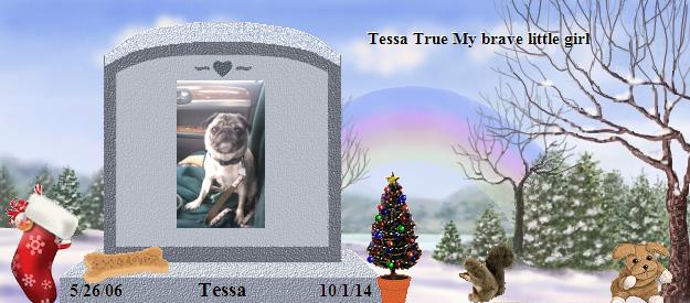 Tessa's Rainbow Bridge Pet Loss Memorial Residency Image