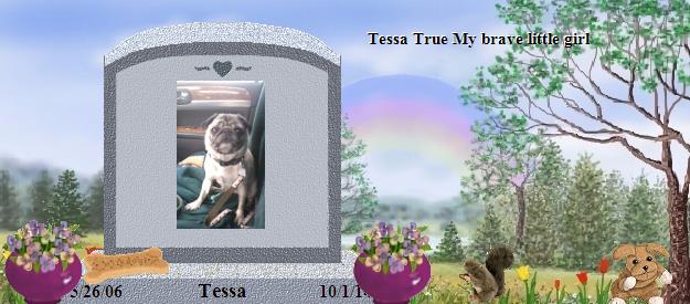 Tessa's Rainbow Bridge Pet Loss Memorial Residency Image