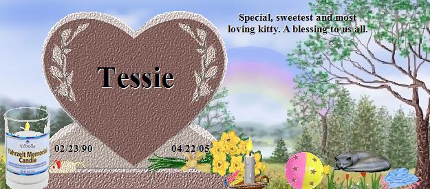 Tessie's Rainbow Bridge Pet Loss Memorial Residency Image