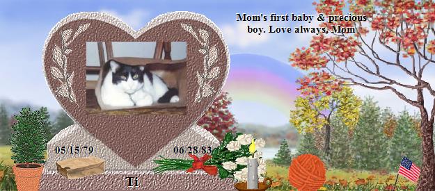 Ti's Rainbow Bridge Pet Loss Memorial Residency Image