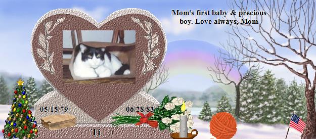 Ti's Rainbow Bridge Pet Loss Memorial Residency Image