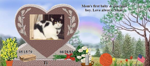 Ti's Rainbow Bridge Pet Loss Memorial Residency Image