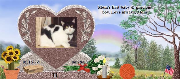 Ti's Rainbow Bridge Pet Loss Memorial Residency Image