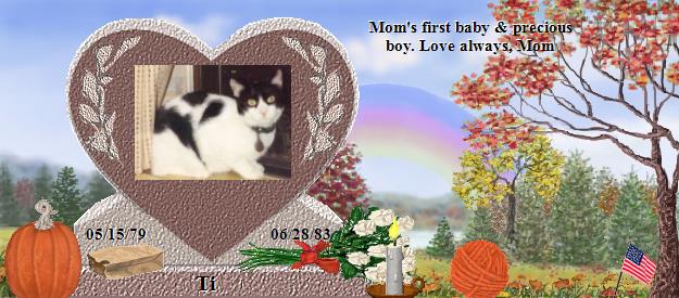 Ti's Rainbow Bridge Pet Loss Memorial Residency Image