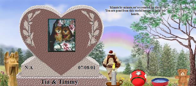 Tia & Timmy's Rainbow Bridge Pet Loss Memorial Residency Image