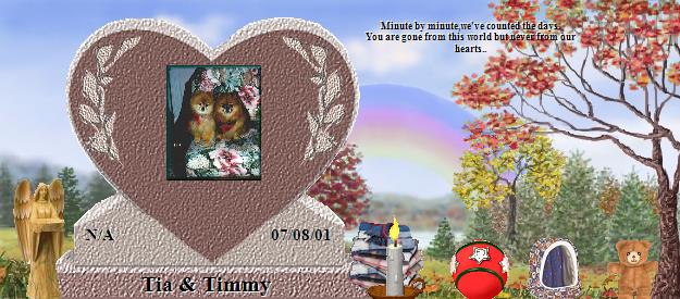 Tia & Timmy's Rainbow Bridge Pet Loss Memorial Residency Image