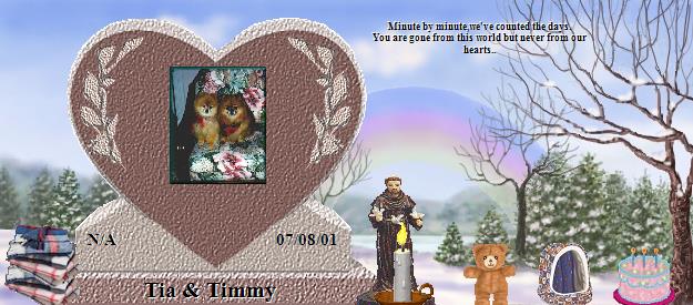 Tia & Timmy's Rainbow Bridge Pet Loss Memorial Residency Image