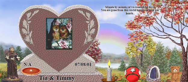 Tia & Timmy's Rainbow Bridge Pet Loss Memorial Residency Image