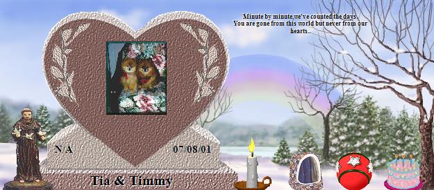 Tia & Timmy's Rainbow Bridge Pet Loss Memorial Residency Image