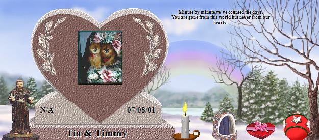 Tia & Timmy's Rainbow Bridge Pet Loss Memorial Residency Image