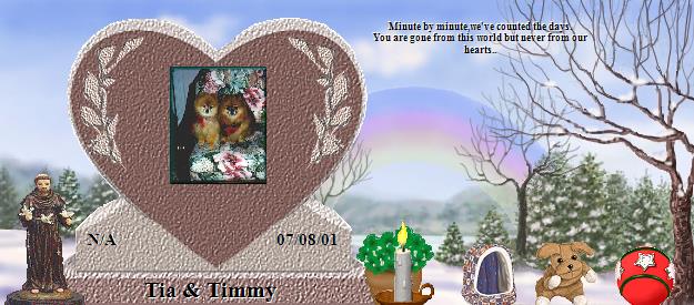 Tia & Timmy's Rainbow Bridge Pet Loss Memorial Residency Image
