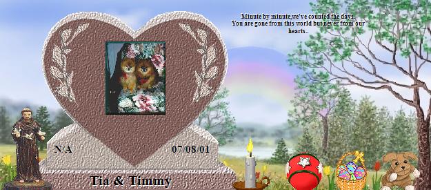 Tia & Timmy's Rainbow Bridge Pet Loss Memorial Residency Image