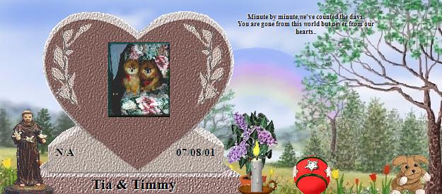 Tia & Timmy's Rainbow Bridge Pet Loss Memorial Residency Image