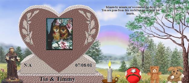 Tia & Timmy's Rainbow Bridge Pet Loss Memorial Residency Image
