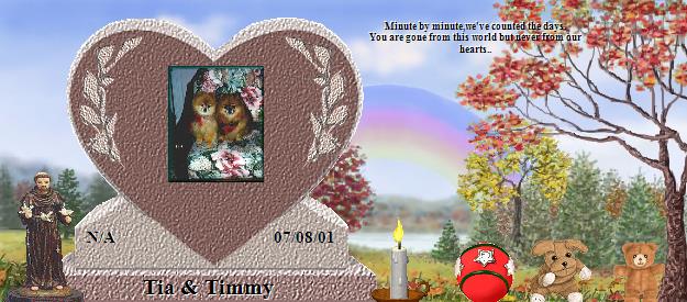 Tia & Timmy's Rainbow Bridge Pet Loss Memorial Residency Image