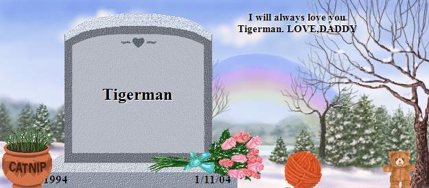 Tigerman's Rainbow Bridge Pet Loss Memorial Residency Image