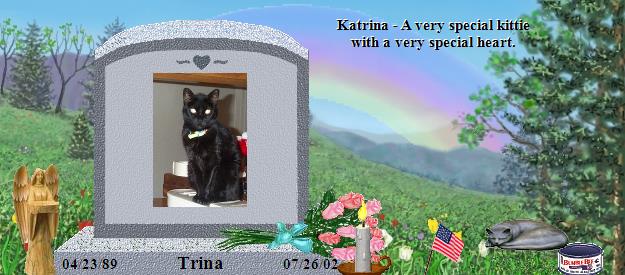 Trina's Rainbow Bridge Pet Loss Memorial Residency Image