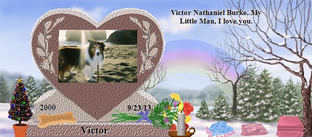 Victor's Rainbow Bridge Pet Loss Memorial Residency Image