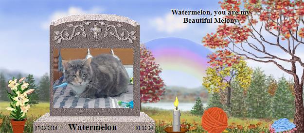 Watermelon's Rainbow Bridge Pet Loss Memorial Residency Image