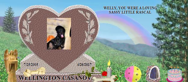 WELLINGTON CASANOVA's Rainbow Bridge Pet Loss Memorial Residency Image