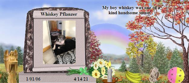 Whiskey Pflanzer's Rainbow Bridge Pet Loss Memorial Residency Image