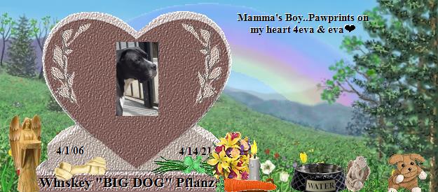 Whiskey "BIG DOG" Pflanzer's Rainbow Bridge Pet Loss Memorial Residency Image