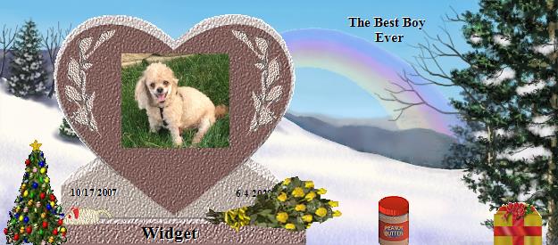 Widget's Rainbow Bridge Pet Loss Memorial Residency Image