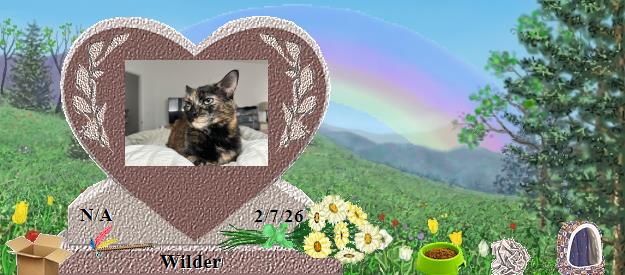Wilder's Rainbow Bridge Pet Loss Memorial Residency Image