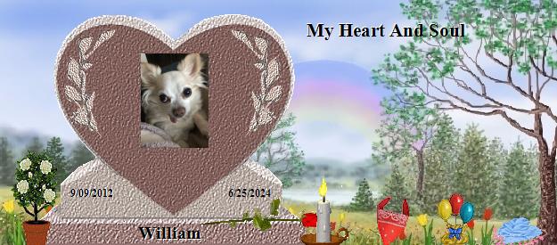 William's Rainbow Bridge Pet Loss Memorial Residency Image