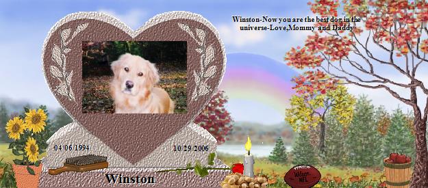 Winston's Rainbow Bridge Pet Loss Memorial Residency Image