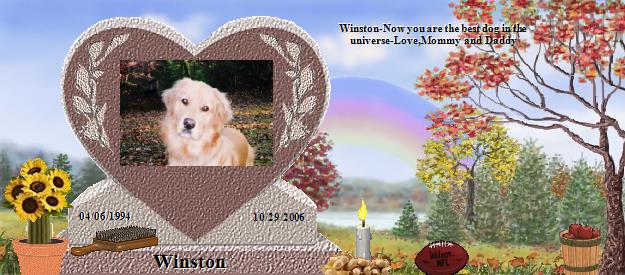 Winston's Rainbow Bridge Pet Loss Memorial Residency Image