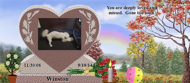 Winston's Rainbow Bridge Pet Loss Memorial Residency Image