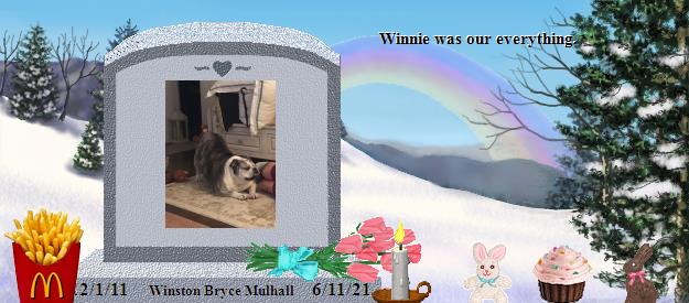 Winston Bryce Mulhall's Rainbow Bridge Pet Loss Memorial Residency Image