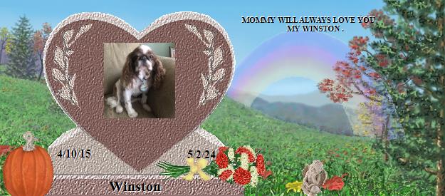 Winston's Rainbow Bridge Pet Loss Memorial Residency Image