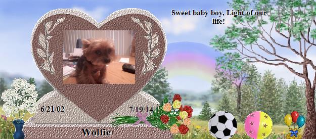 Wolfie's Rainbow Bridge Pet Loss Memorial Residency Image