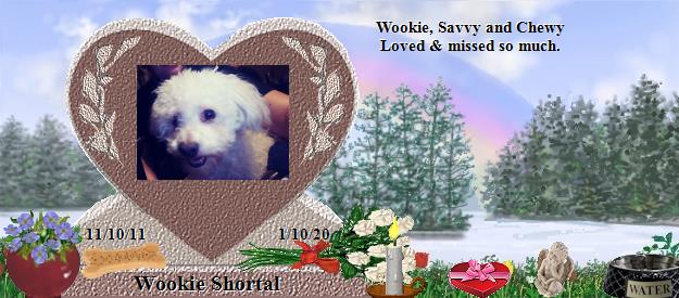 Wookie Shortal's Rainbow Bridge Pet Loss Memorial Residency Image