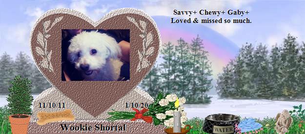 Wookie Shortal's Rainbow Bridge Pet Loss Memorial Residency Image