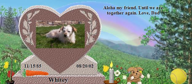 Whitey's Rainbow Bridge Pet Loss Memorial Residency Image