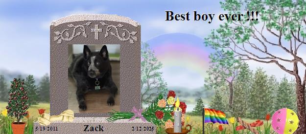Zack's Rainbow Bridge Pet Loss Memorial Residency Image
