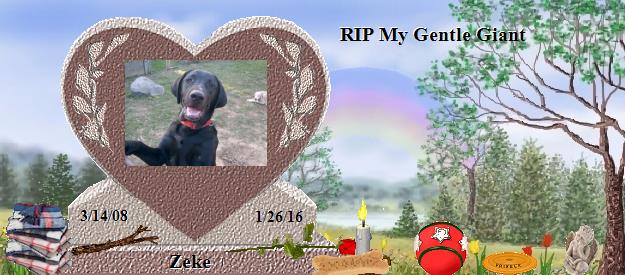 Zeke's Rainbow Bridge Pet Loss Memorial Residency Image