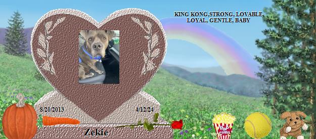 Zekie's Rainbow Bridge Pet Loss Memorial Residency Image