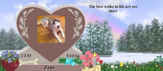 Zeus's Rainbow Bridge Pet Loss Memorial Residency Image