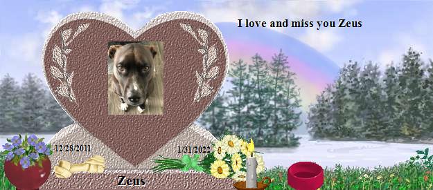 Zeus's Rainbow Bridge Pet Loss Memorial Residency Image