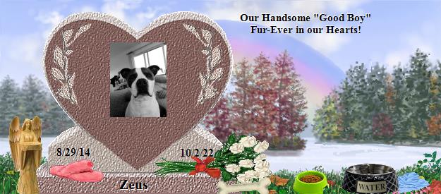 Zeus's Rainbow Bridge Pet Loss Memorial Residency Image