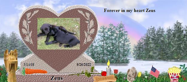 Zeus's Rainbow Bridge Pet Loss Memorial Residency Image