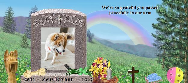 Zeus Bryant's Rainbow Bridge Pet Loss Memorial Residency Image