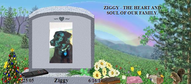 Ziggy's Rainbow Bridge Pet Loss Memorial Residency Image